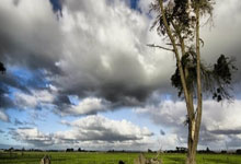 世界杯外围 -成功率在70%以上！国铁集团公布官方候补攻略