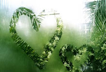 世界杯外围平台 -许昕亲授直板反手拧拉！重心下沉趴台面，发力稳准不失误