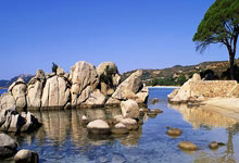  -新创天利(lì)取得油漆連(lián)續(xù)生産(chǎn)装置專(zhuān)利(lì)，生産(chǎn)效率高